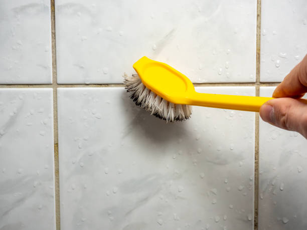 Best Mold Removal Near Me  in Beeville, TX