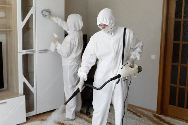 Certified Mold Removal in Beeville, TX
