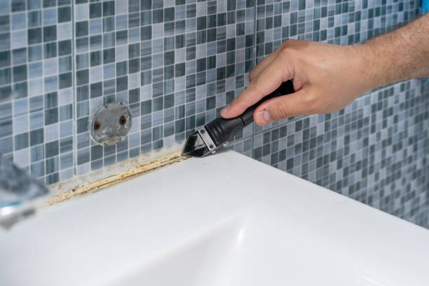 Best Professional Mold Removal  in Beeville, TX